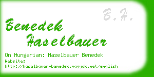 benedek haselbauer business card